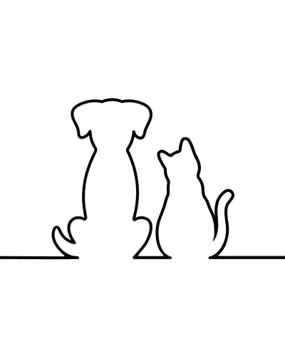 Chien et chat Animaux Lien Connexion Amitié Communication animale Télépathie energetique Bien être Famille Foyer